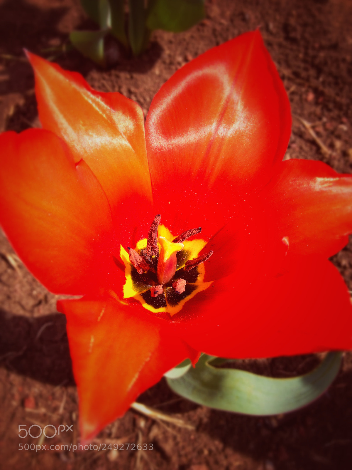Apple iPhone 4S sample photo. Silky photography