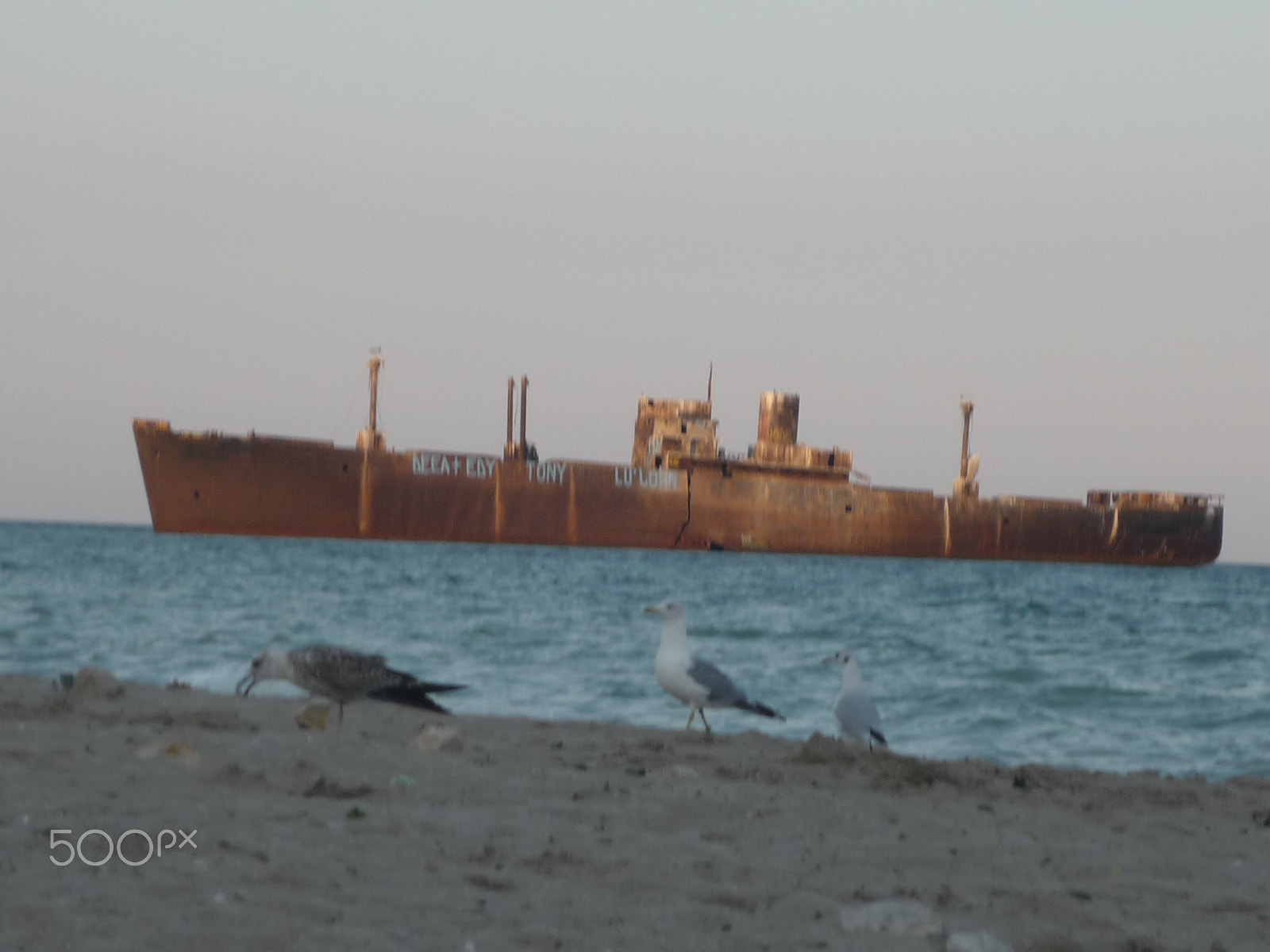 Panasonic Lumix DMC-FS3 sample photo. Costinesti photography