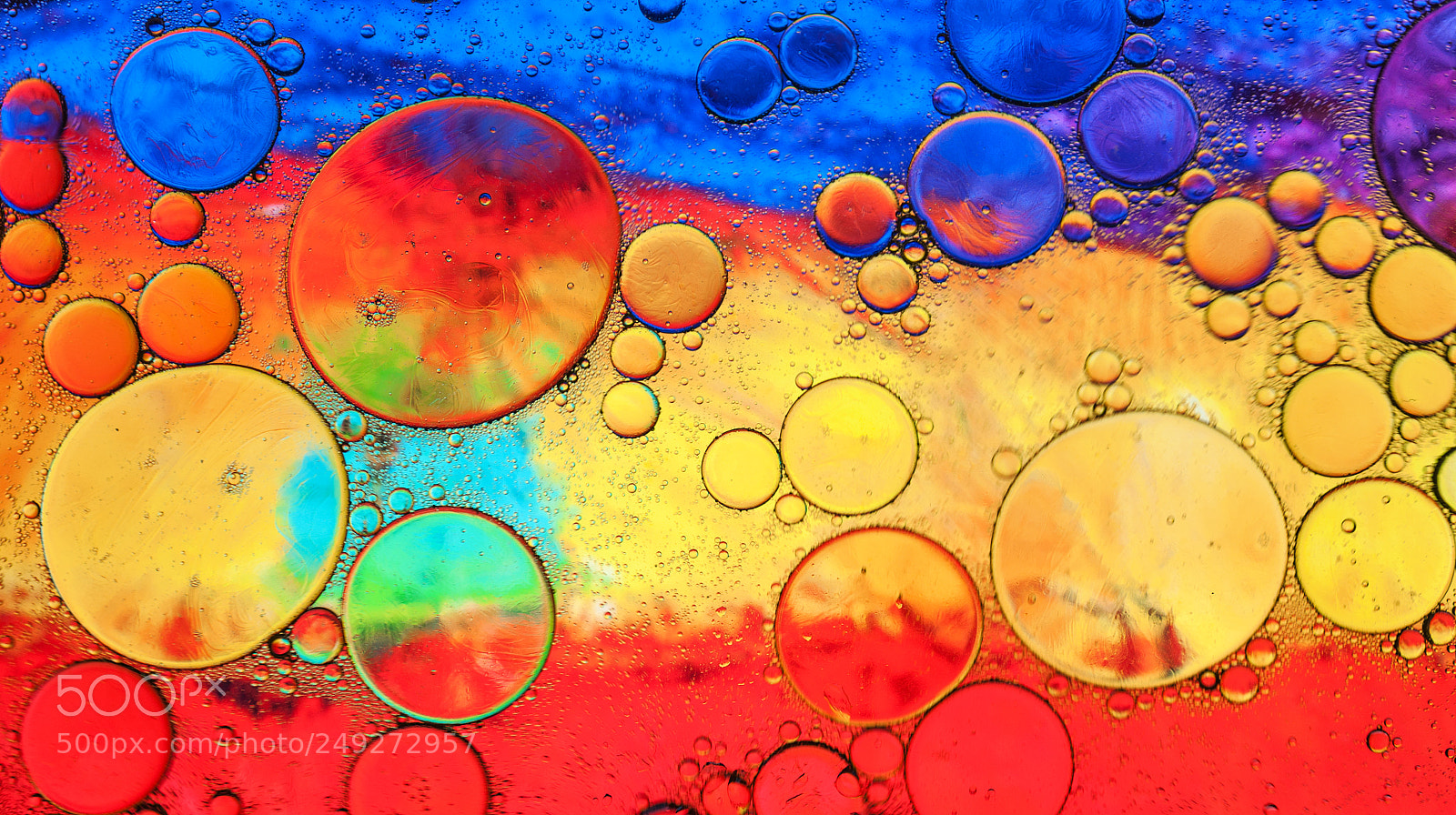Nikon D5000 sample photo. Colorfully photography