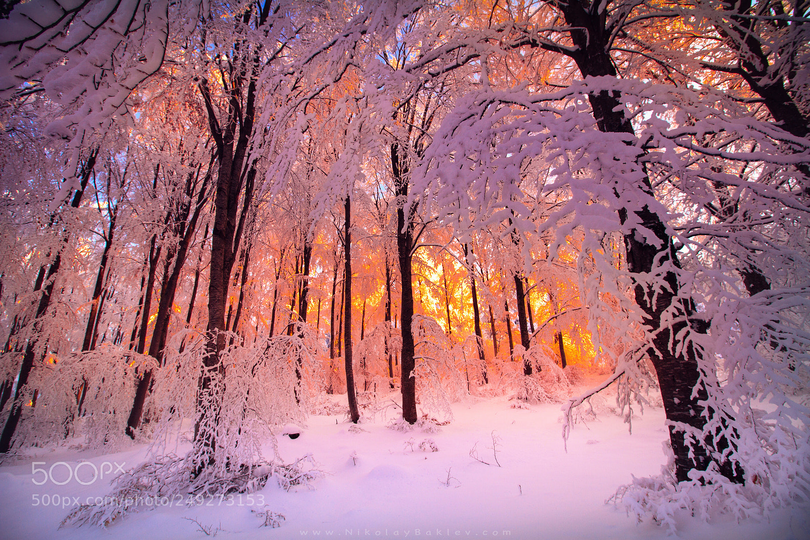 Canon EOS 7D sample photo. Snowy colors photography