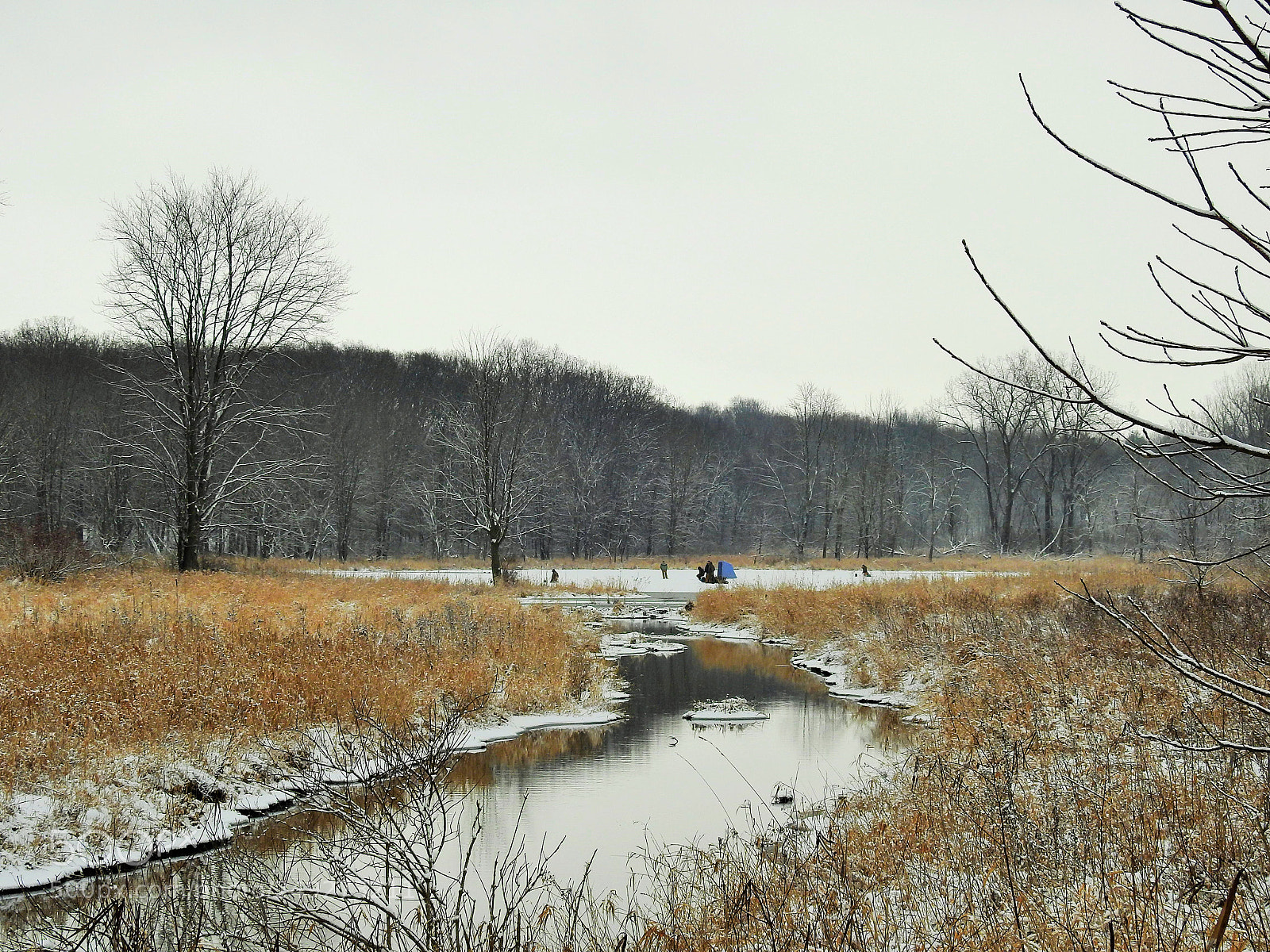 Nikon Coolpix P900 sample photo. Winter in ropchan photography