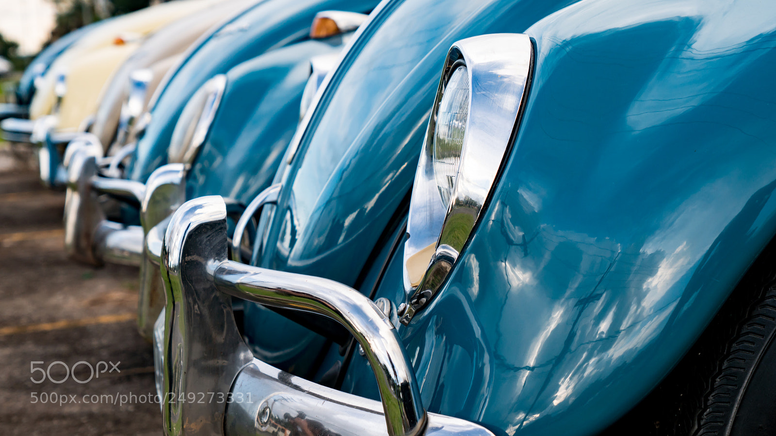 Sony a6300 sample photo. Beetle photography