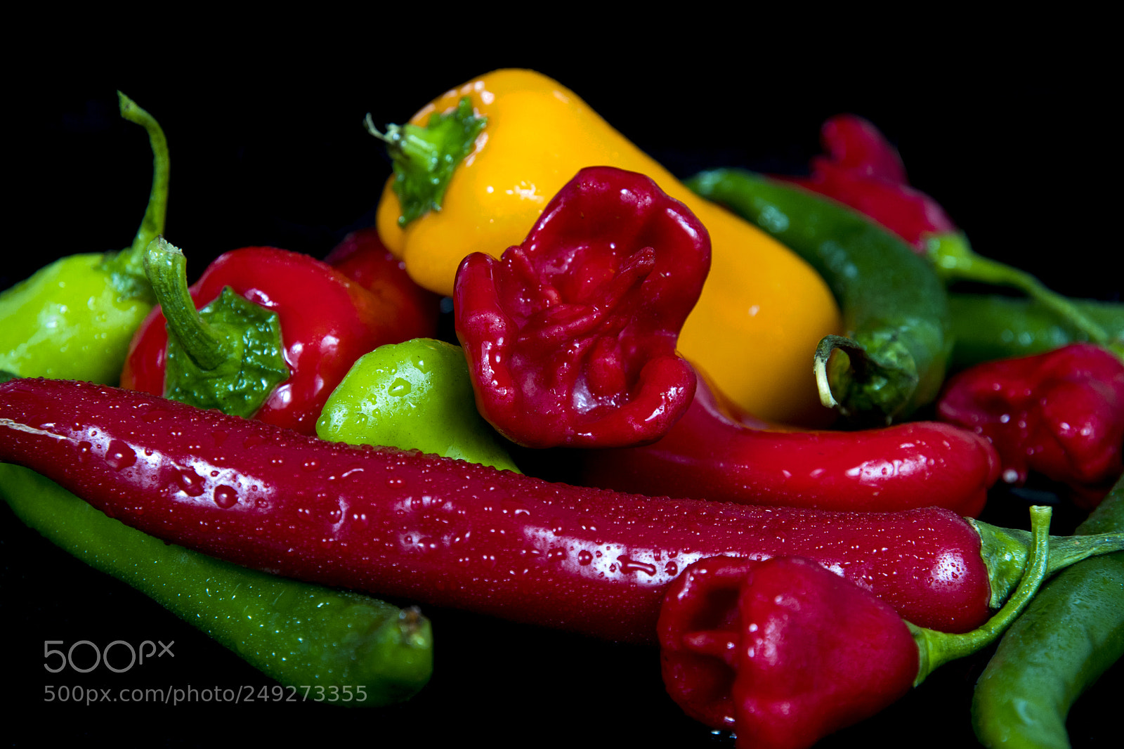 Nikon D500 sample photo. Vegetables photography