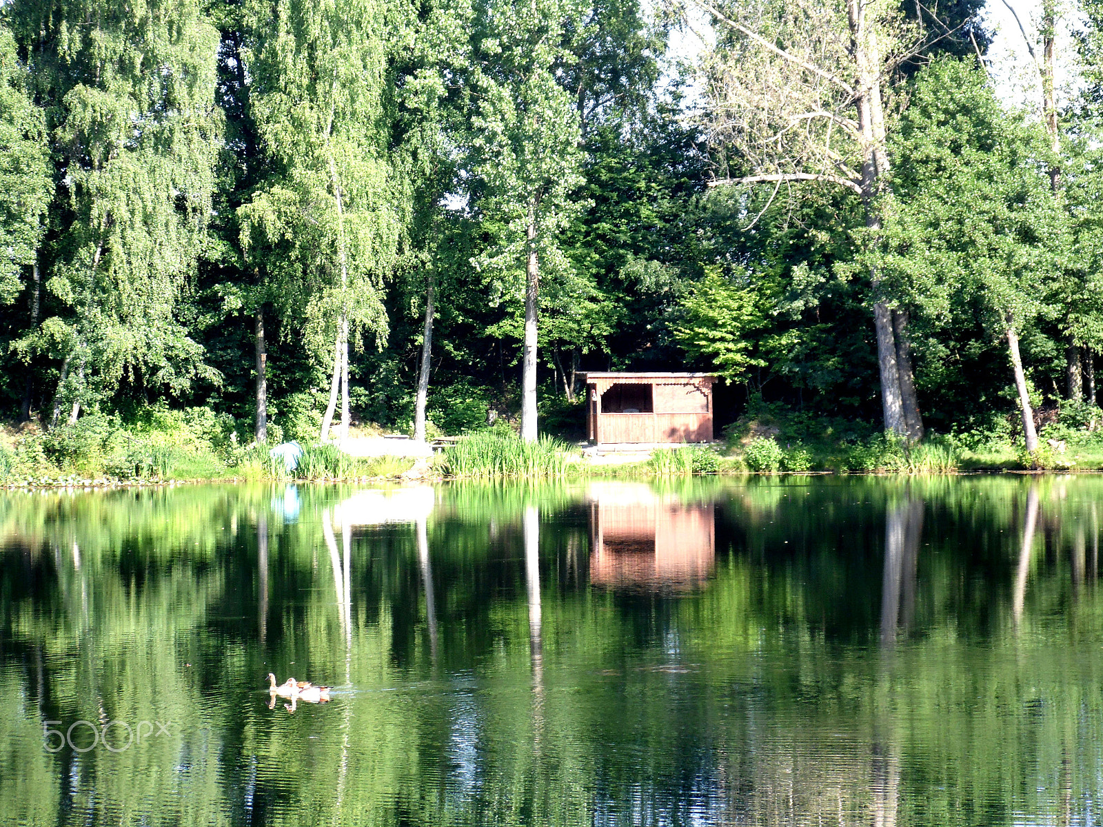 Samsung WB100/  WB101 sample photo. Summer lake photography