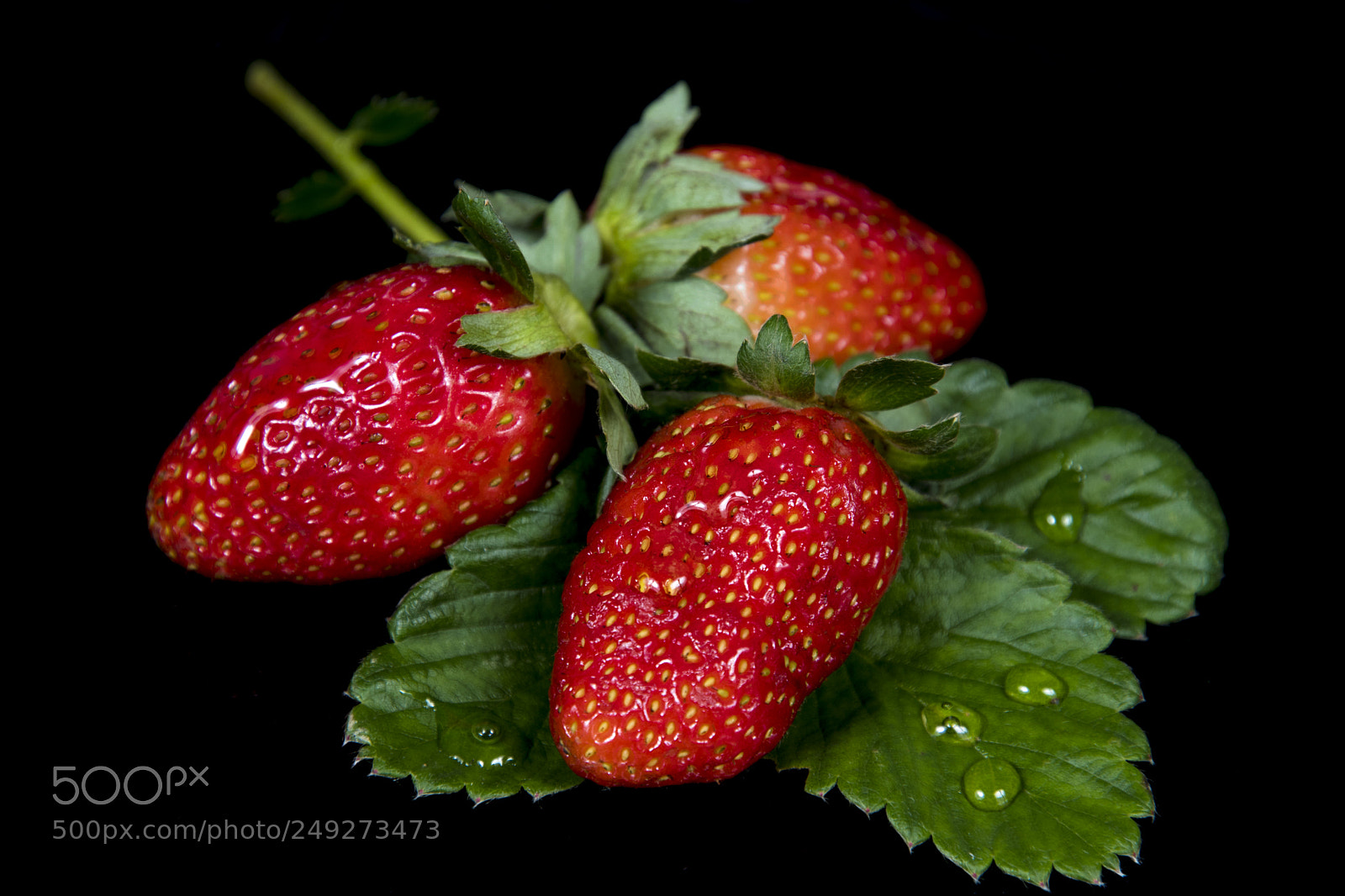 Nikon D500 sample photo. Strawberries photography
