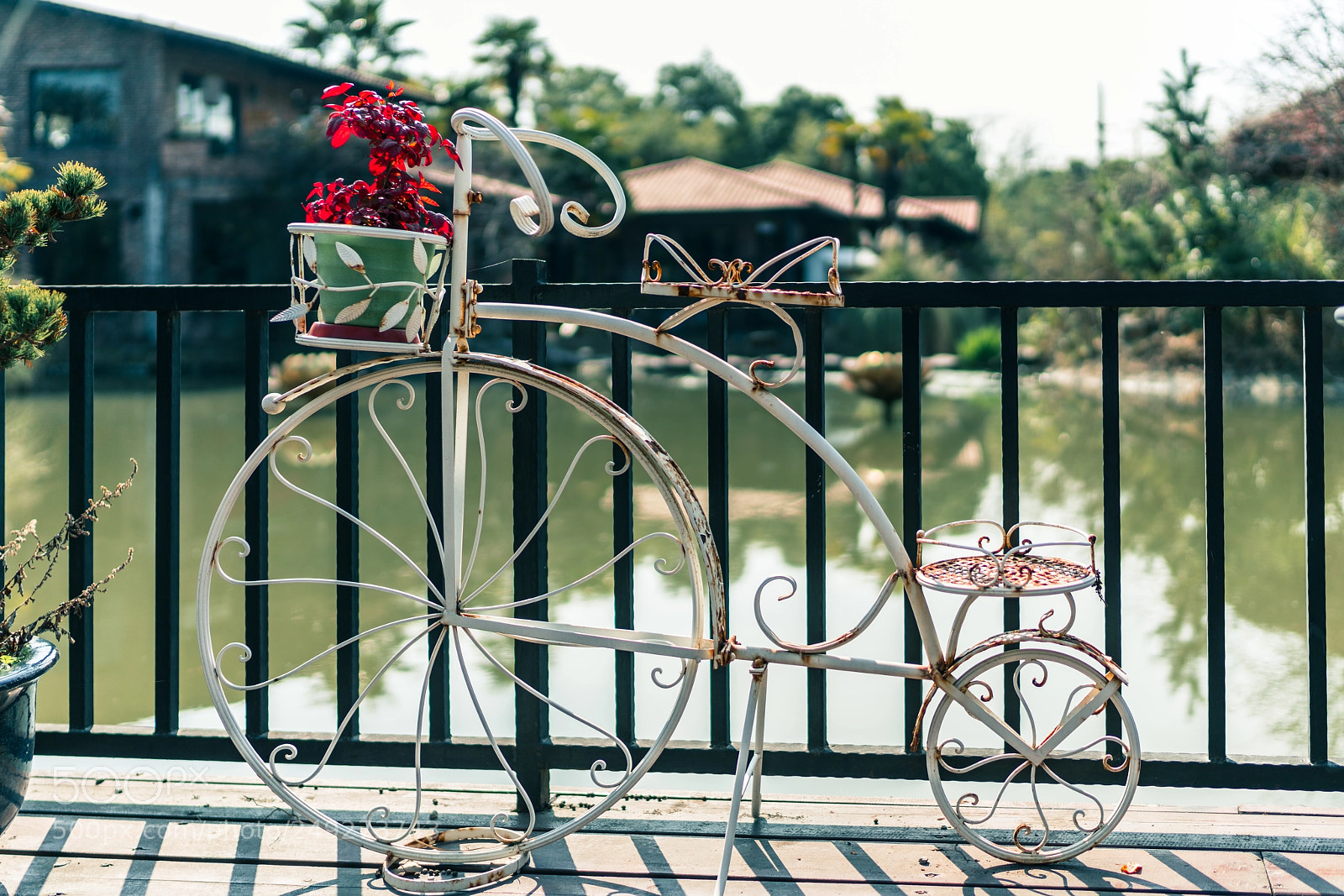 Sony a7R III sample photo. Untitled photography