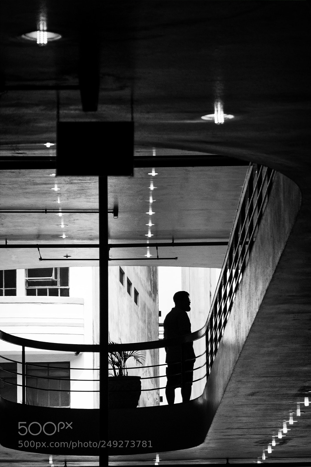 Nikon D5300 sample photo. Silhouette photography