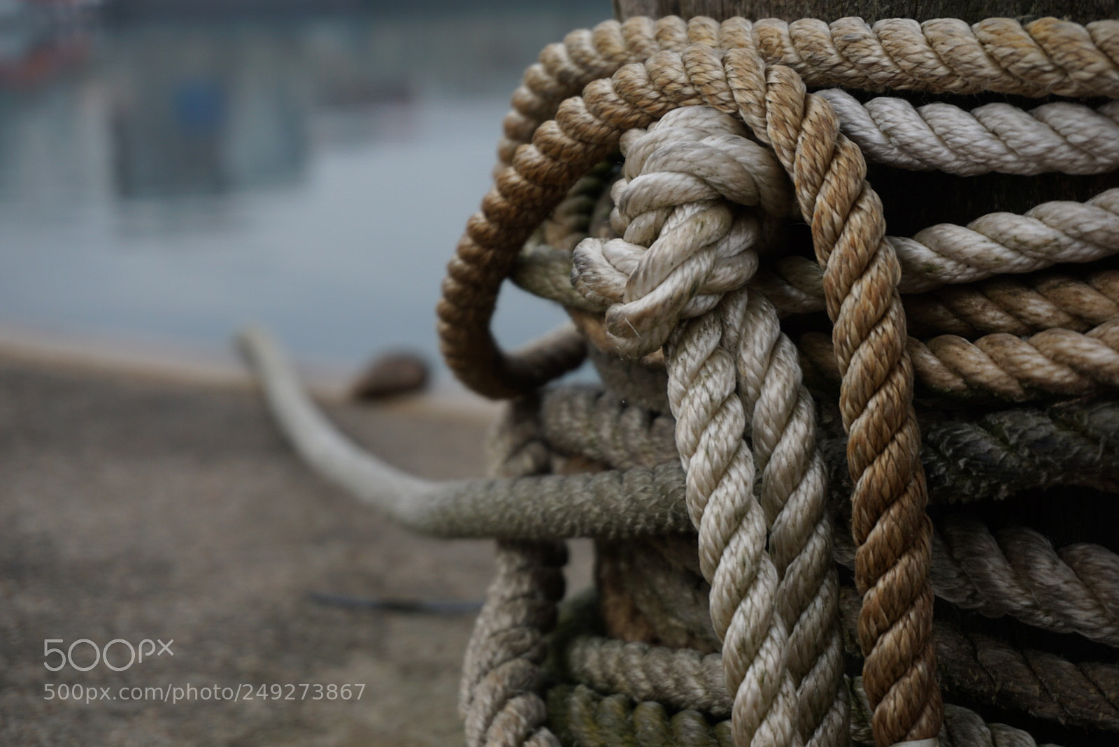 Sony a6000 sample photo. Untitled photography