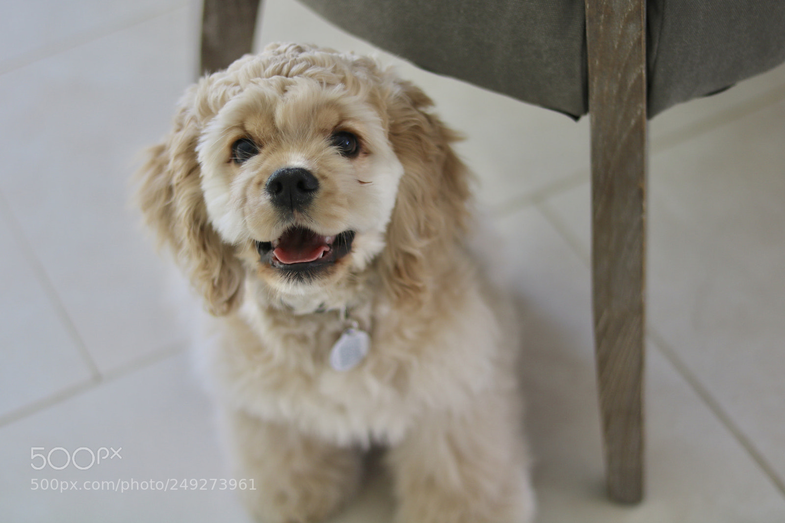Canon EOS 750D (EOS Rebel T6i / EOS Kiss X8i) sample photo. Junior photography