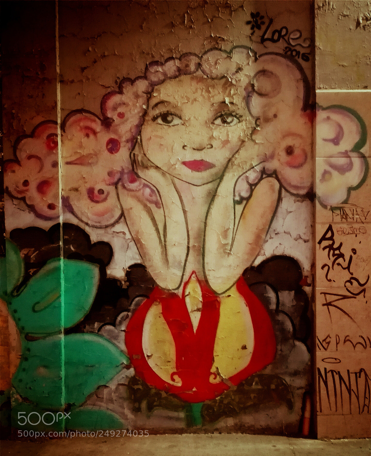 HUAWEI Y6II sample photo. Mujer amapola photography