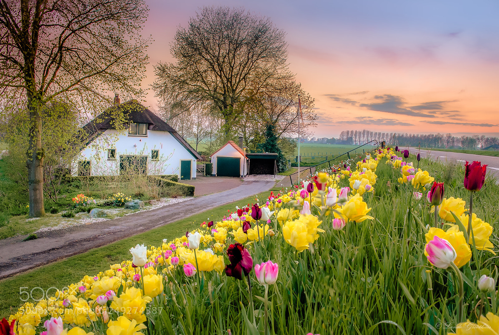Nikon D5100 sample photo. Dutch spring photography