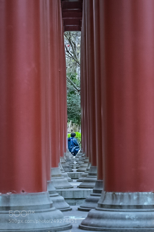 Nikon D5300 sample photo. Untitled photography