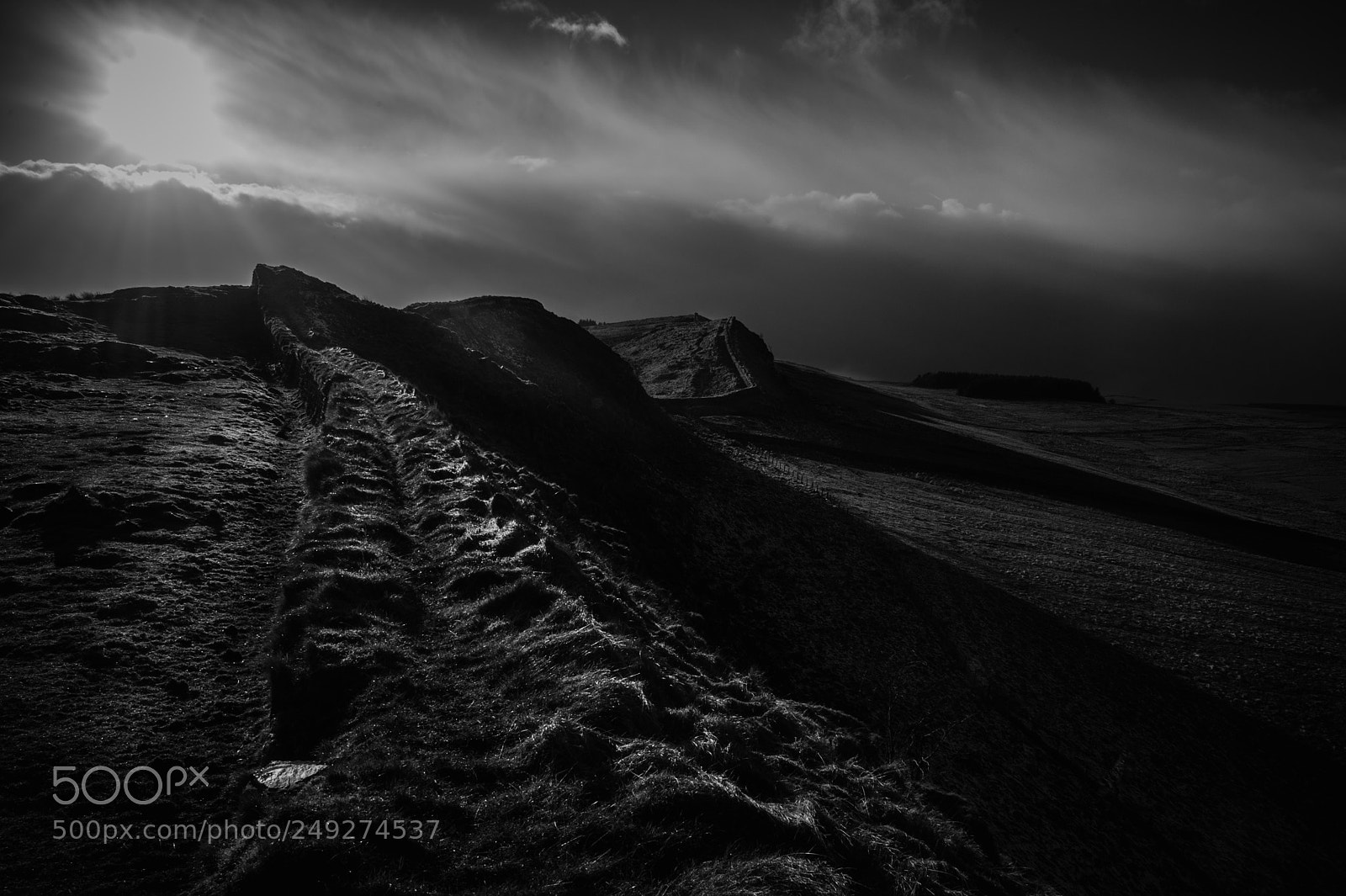 Nikon D700 sample photo. Hadrian's wall photography