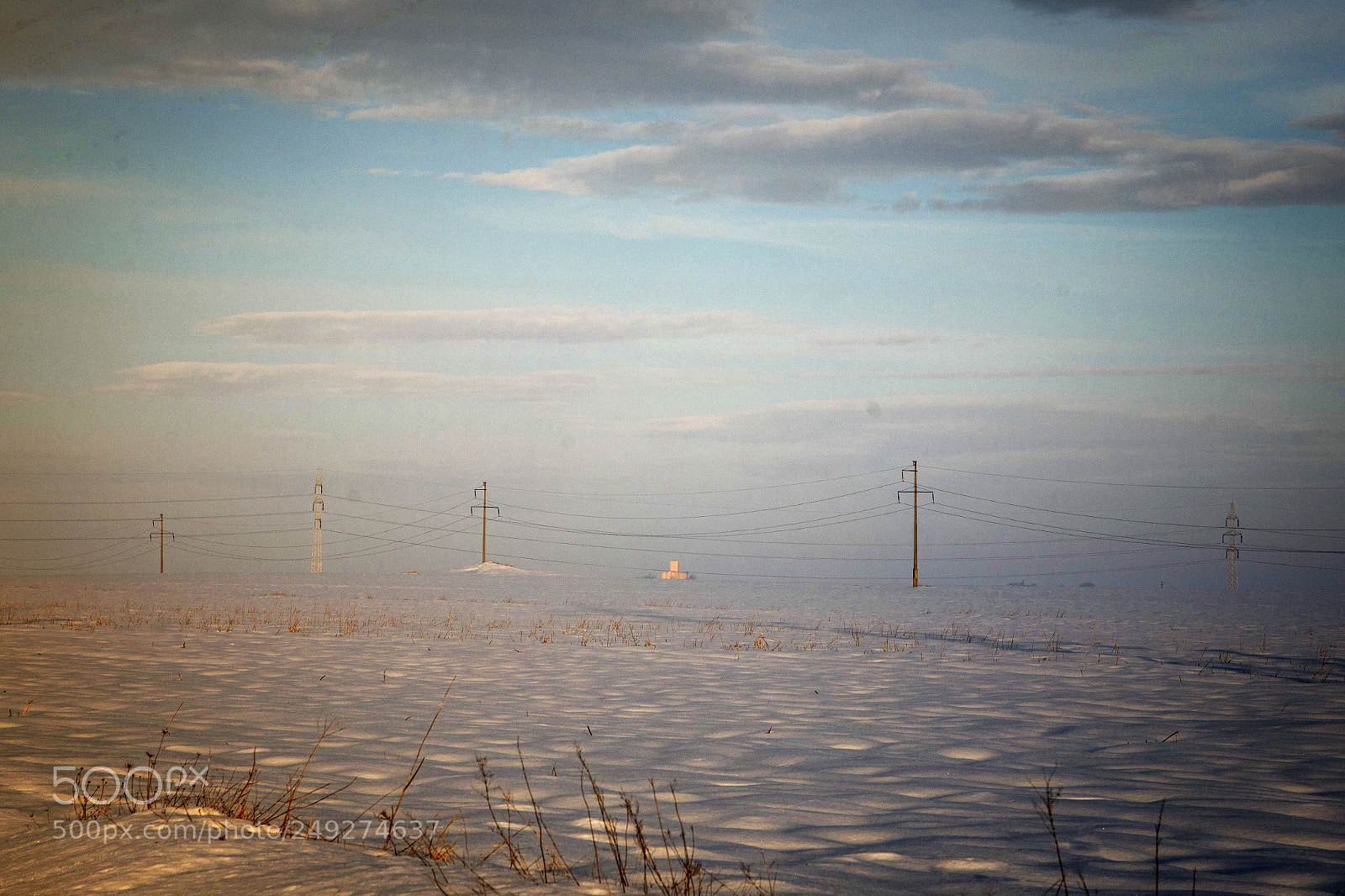 Nikon D800 sample photo. That winter photography