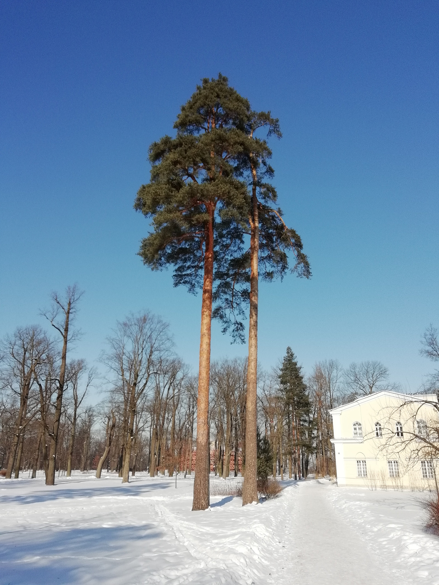 HUAWEI FIG-LX1 sample photo