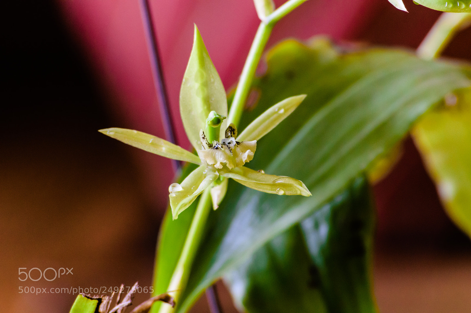 Nikon D5300 sample photo. Untitled photography