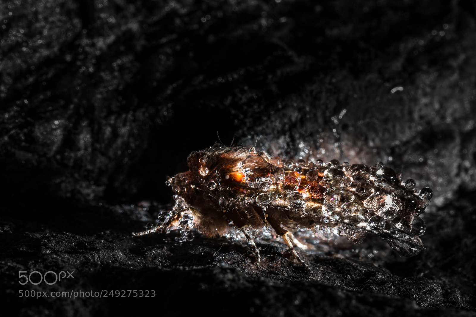 Canon EOS-1D X sample photo. In a cave photography