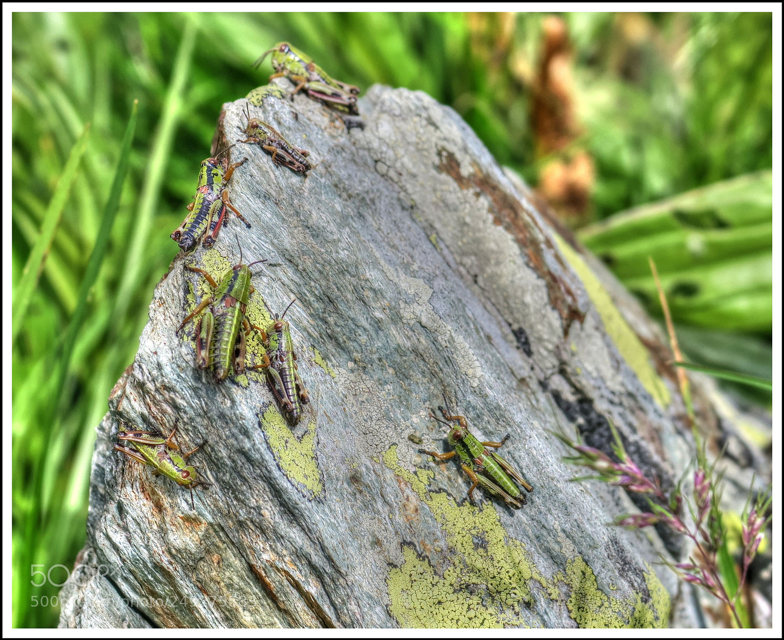 Canon PowerShot G3 X sample photo. Ein platz an der photography