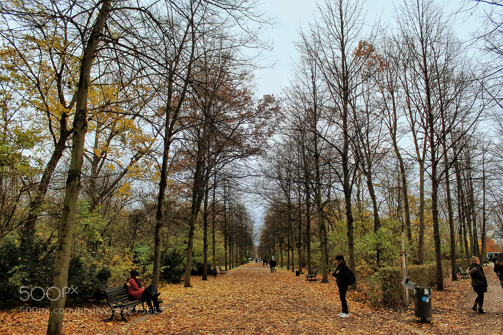 Canon EOS 1100D (EOS Rebel T3 / EOS Kiss X50) sample photo. Beautiful fall photography