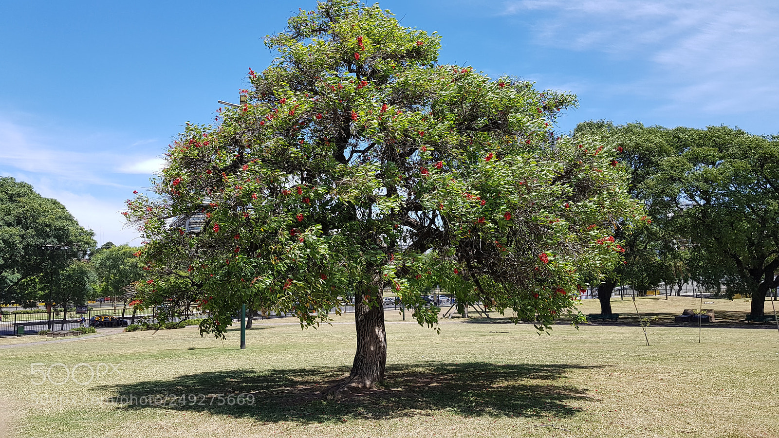 Samsung Galaxy S8+ sample photo. Modelo photography