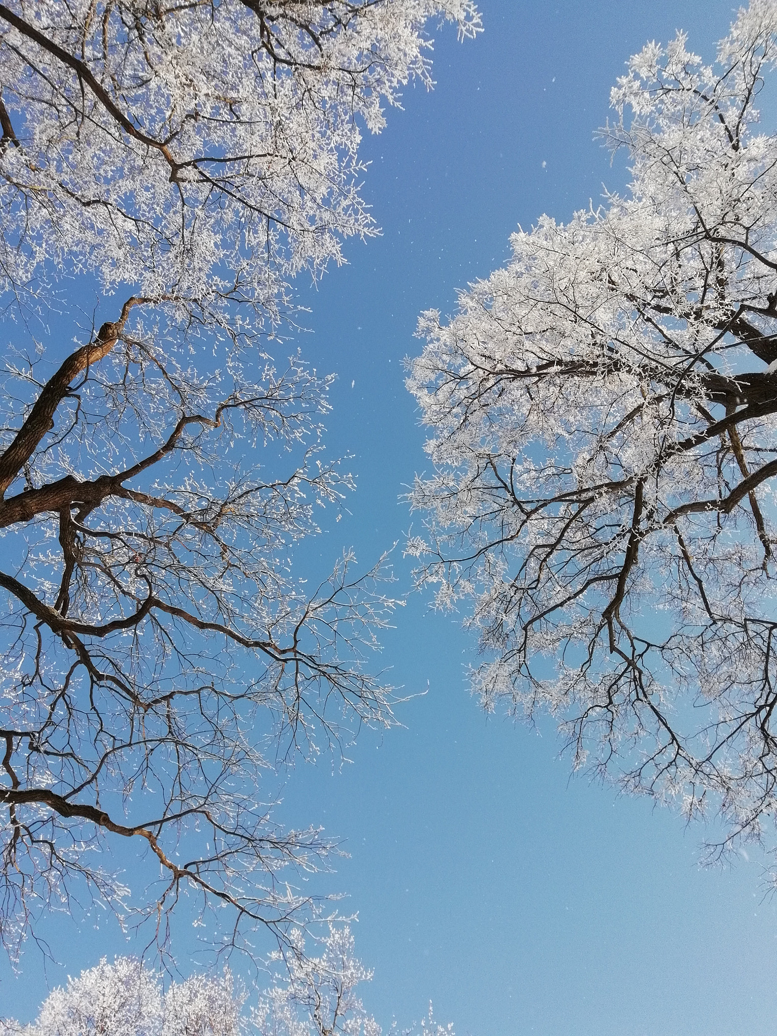 HUAWEI FIG-LX1 sample photo