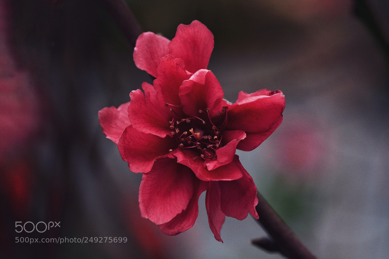 Nikon D7100 sample photo. Untitled photography