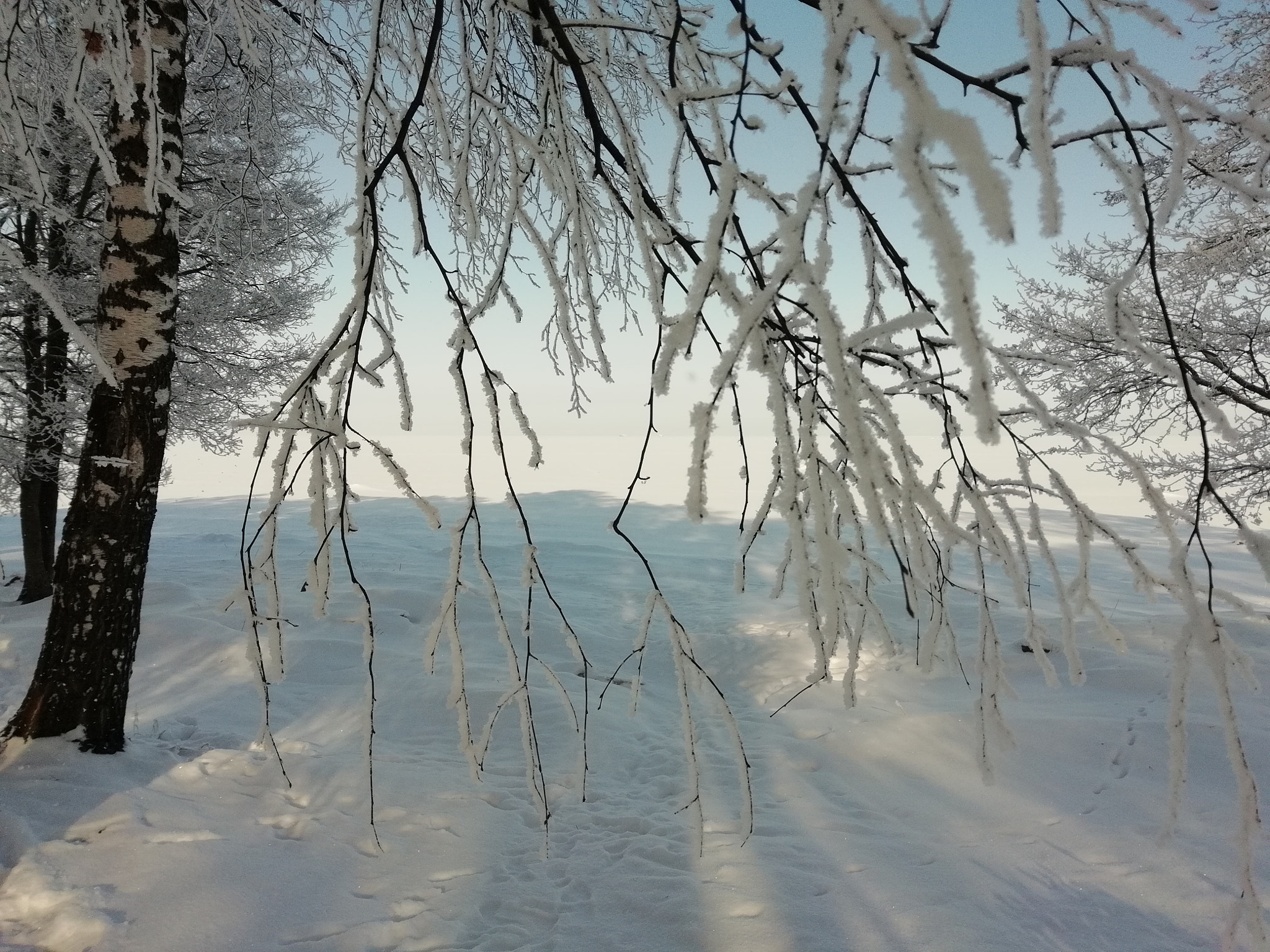 HUAWEI FIG-LX1 sample photo