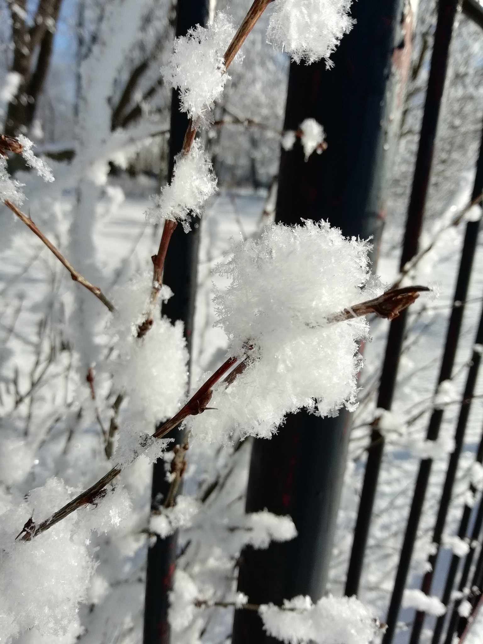 HUAWEI FIG-LX1 sample photo