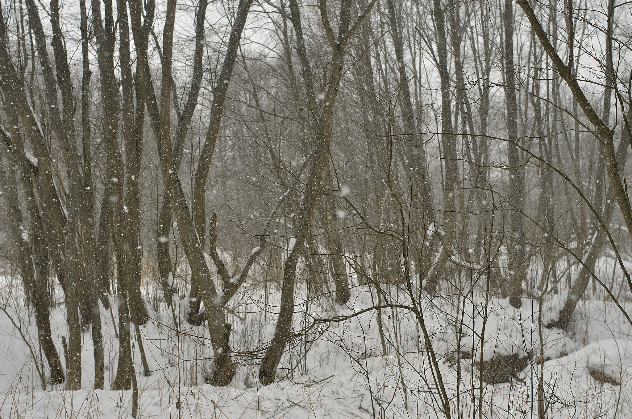 Nikon D90 sample photo. Winter on the stream gorodets photography