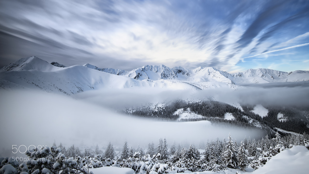 Nikon D810 sample photo. Tatra mountains photography