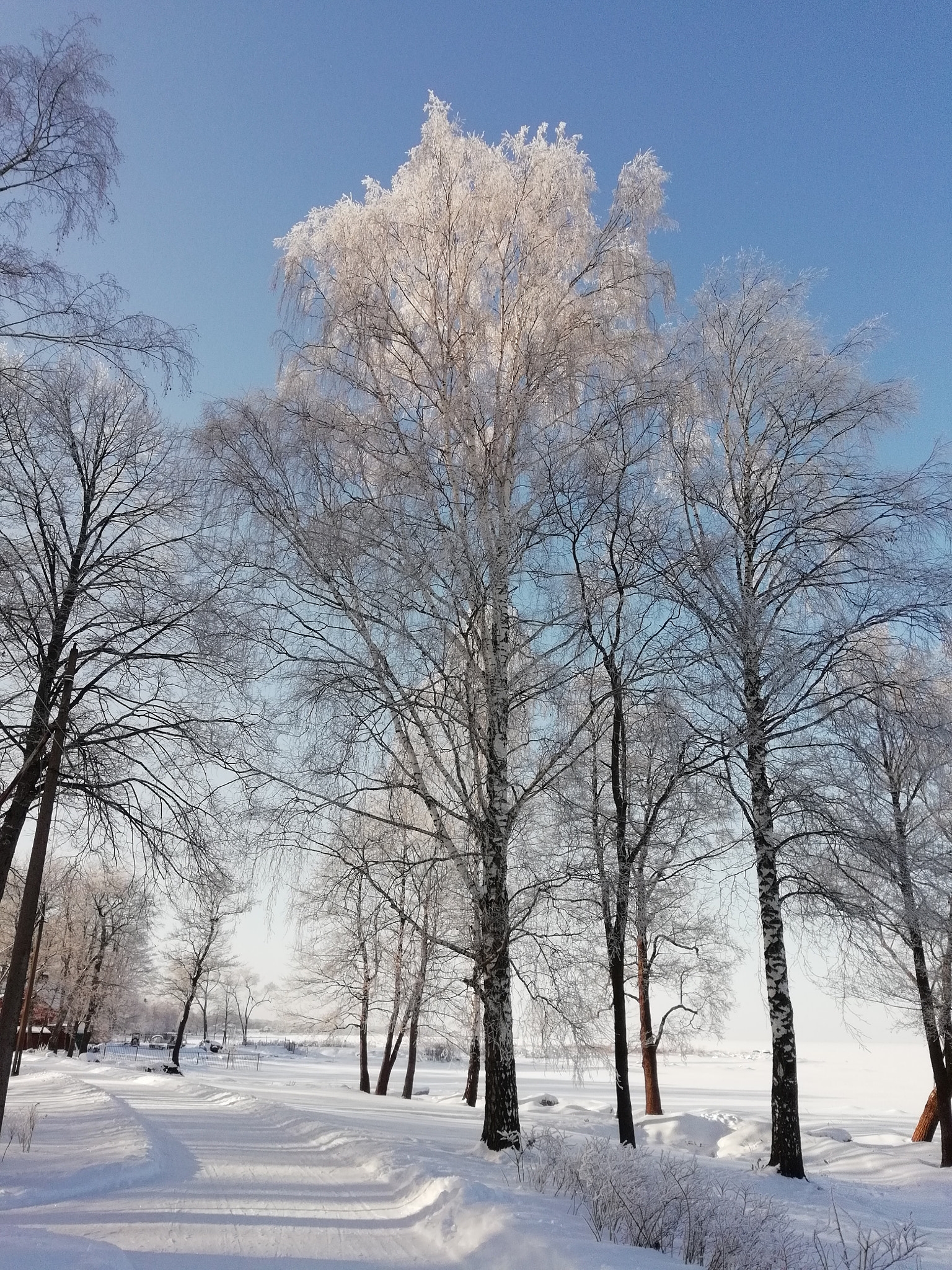 HUAWEI FIG-LX1 sample photo