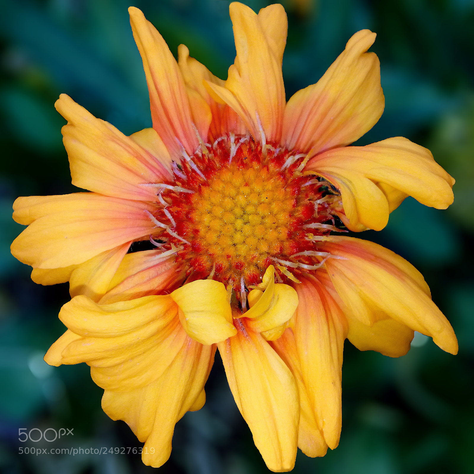 HUAWEI Y5II sample photo. Burning sun -sol ardiente photography