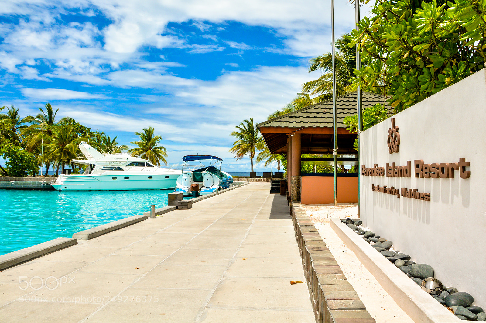 Nikon D7100 sample photo. Sunny side of life photography