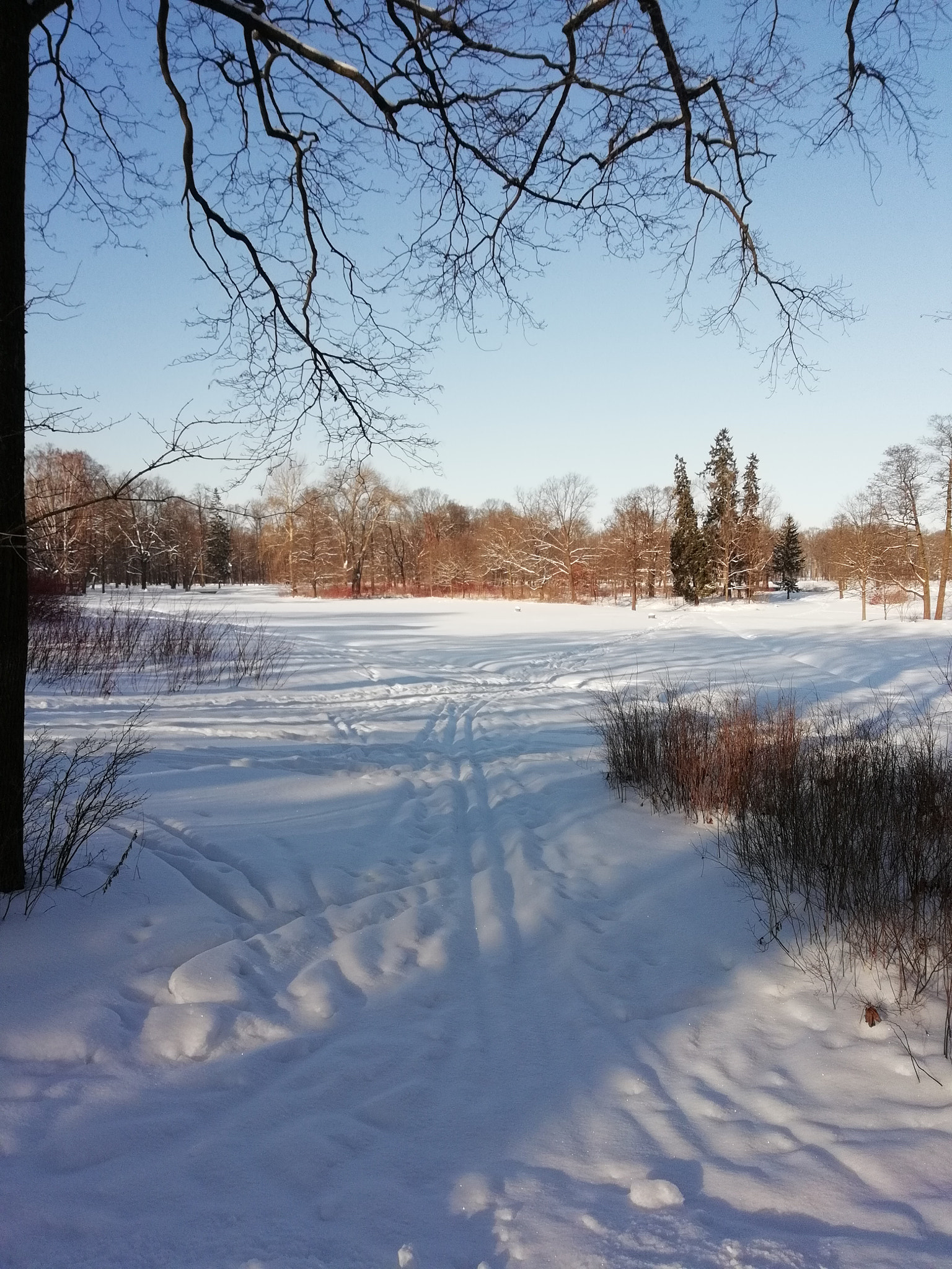 HUAWEI FIG-LX1 sample photo