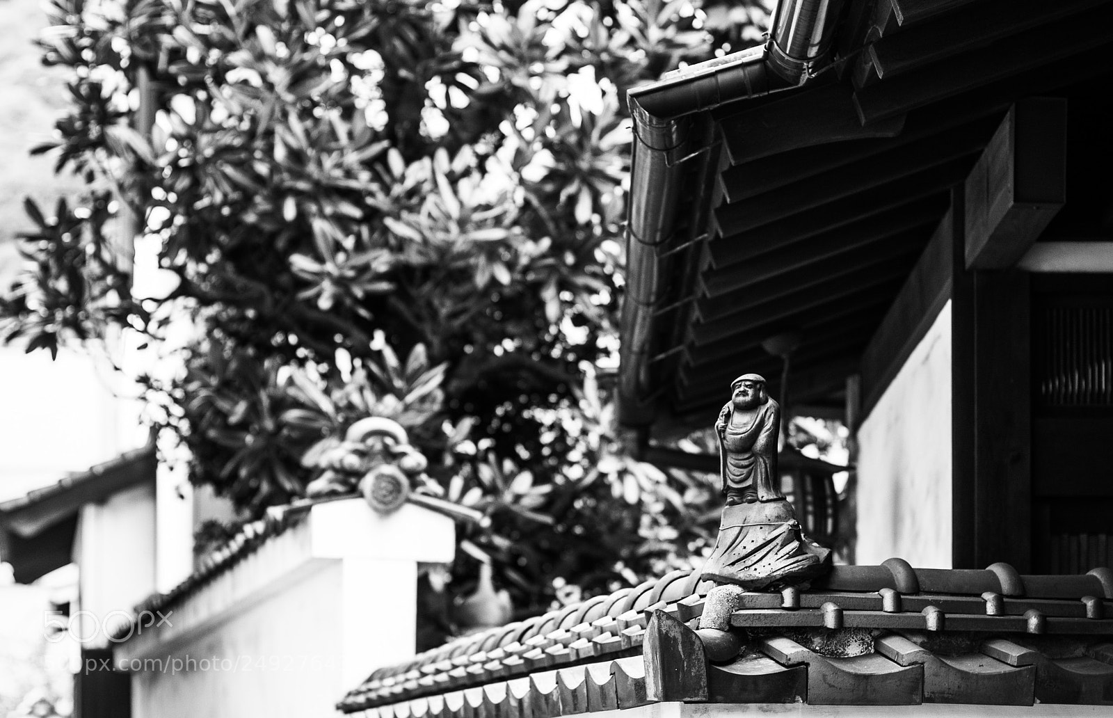 Canon EOS 40D sample photo. Japan photography