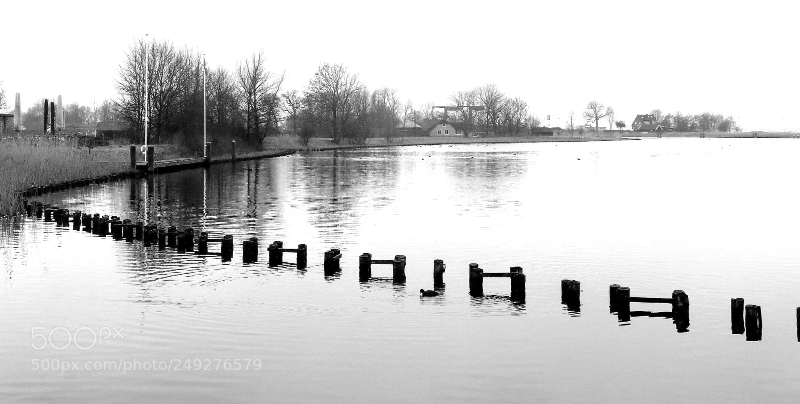 Canon EF-S 18-200mm F3.5-5.6 IS sample photo. Naardermeer 2 photography