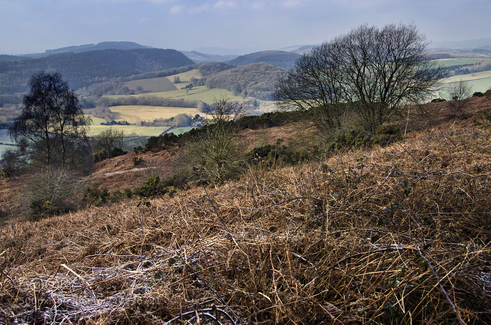Nikon D7000 sample photo. Across the heath... photography