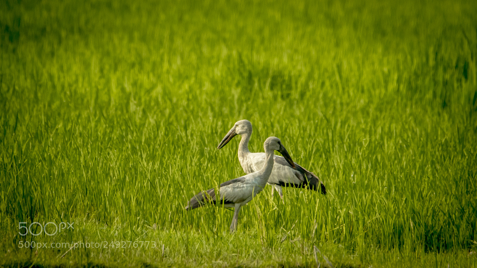 Canon EOS 7D Mark II sample photo. Untitled photography