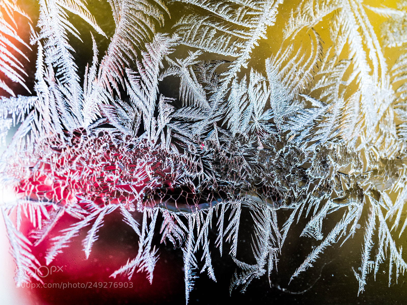 Olympus OM-D E-M5 II sample photo. Ice crystals at the photography