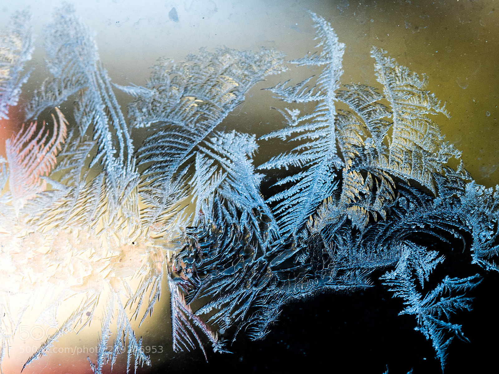 Olympus OM-D E-M5 II sample photo. Ice crystals at the photography