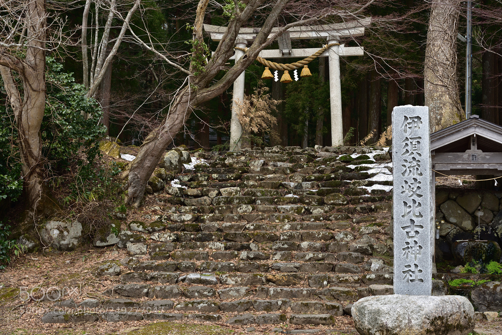 Nikon AF-S Micro-Nikkor 60mm F2.8G ED sample photo. 石動山伊須流岐比古神社 能登中能登 photography