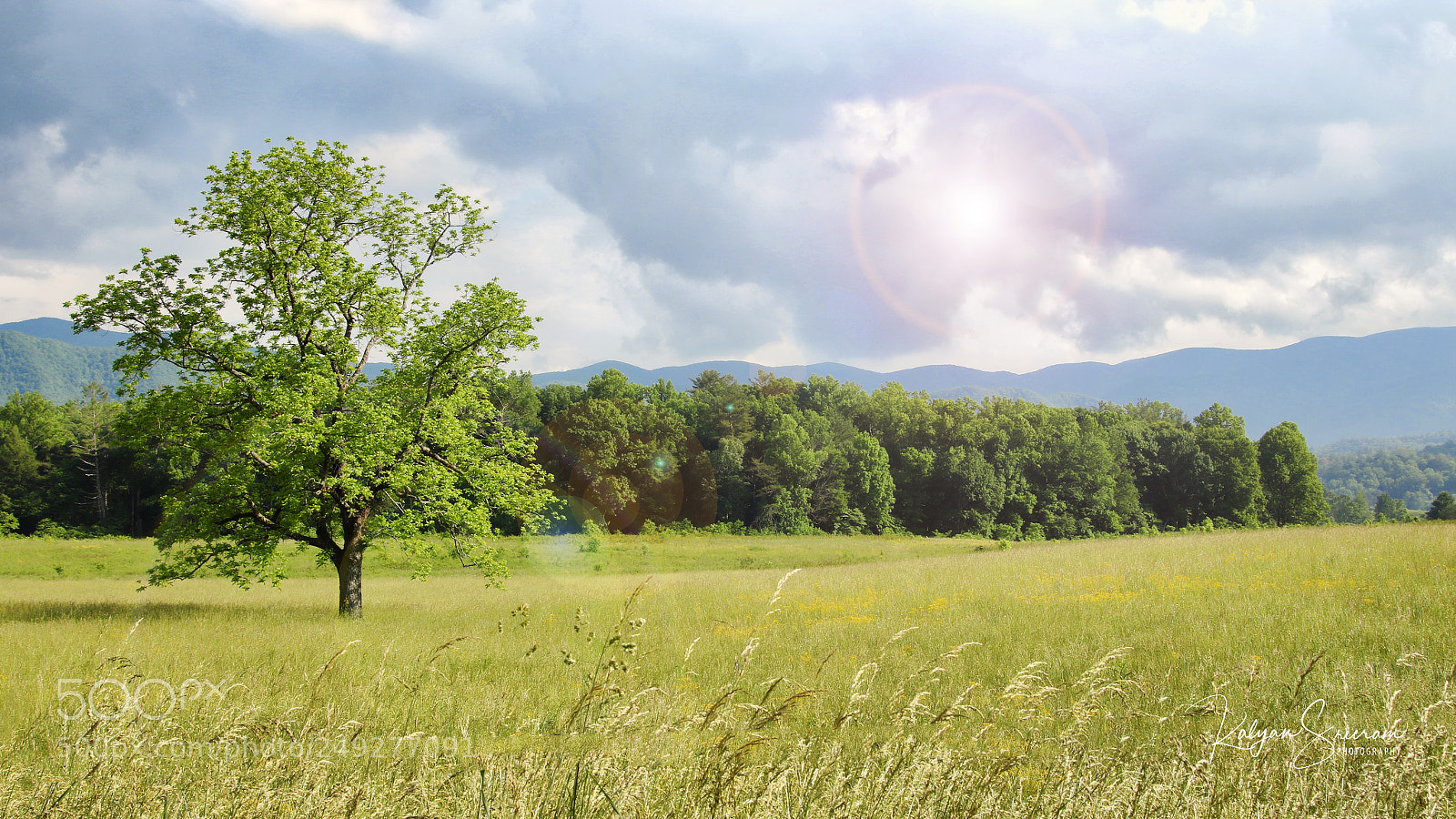 Canon EOS 7D Mark II sample photo. Dreamy!! photography