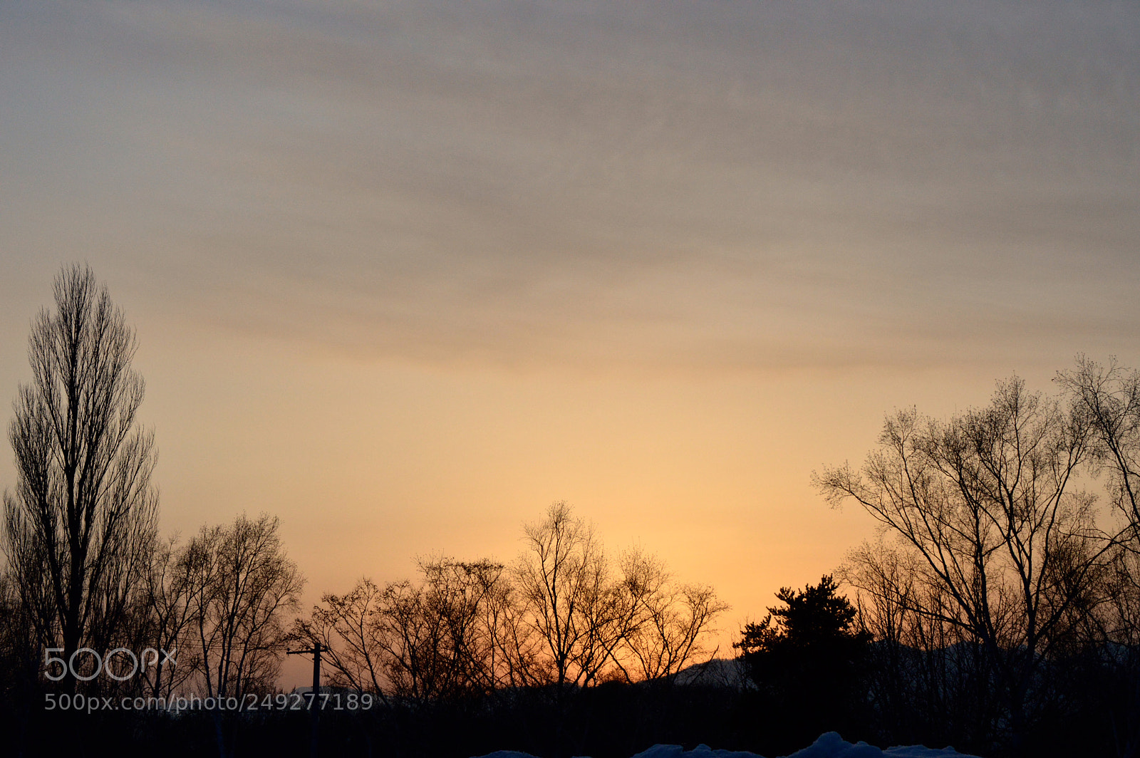 Nikon D3200 sample photo. Evening˚:*:・゜✨ photography