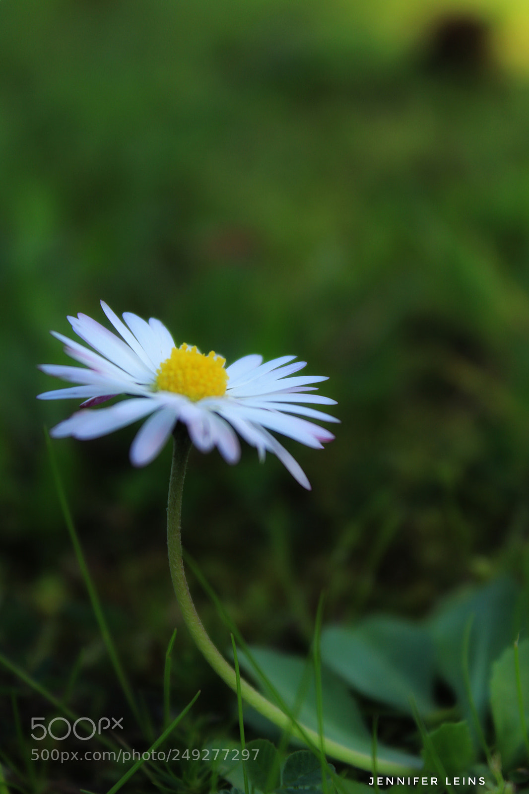 Canon EOS 1200D (EOS Rebel T5 / EOS Kiss X70 / EOS Hi) sample photo. Untitled photography