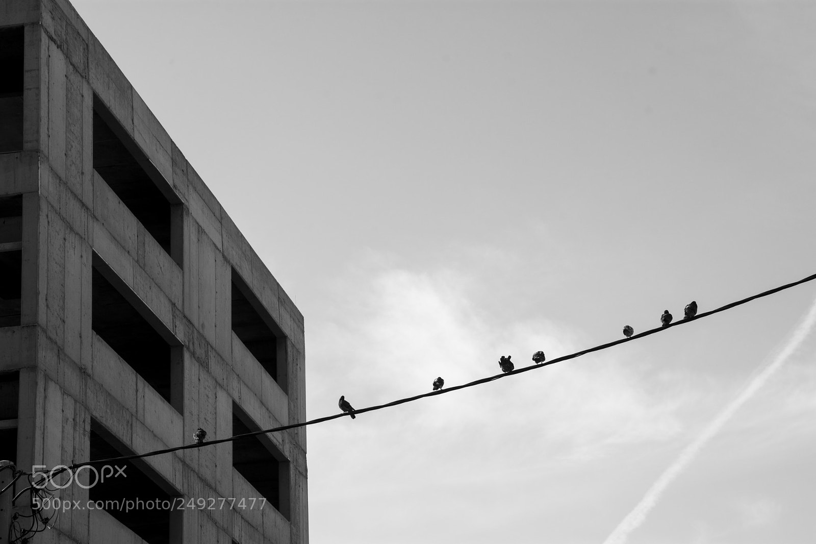 Nikon D7200 sample photo. Architect lines 2 photography