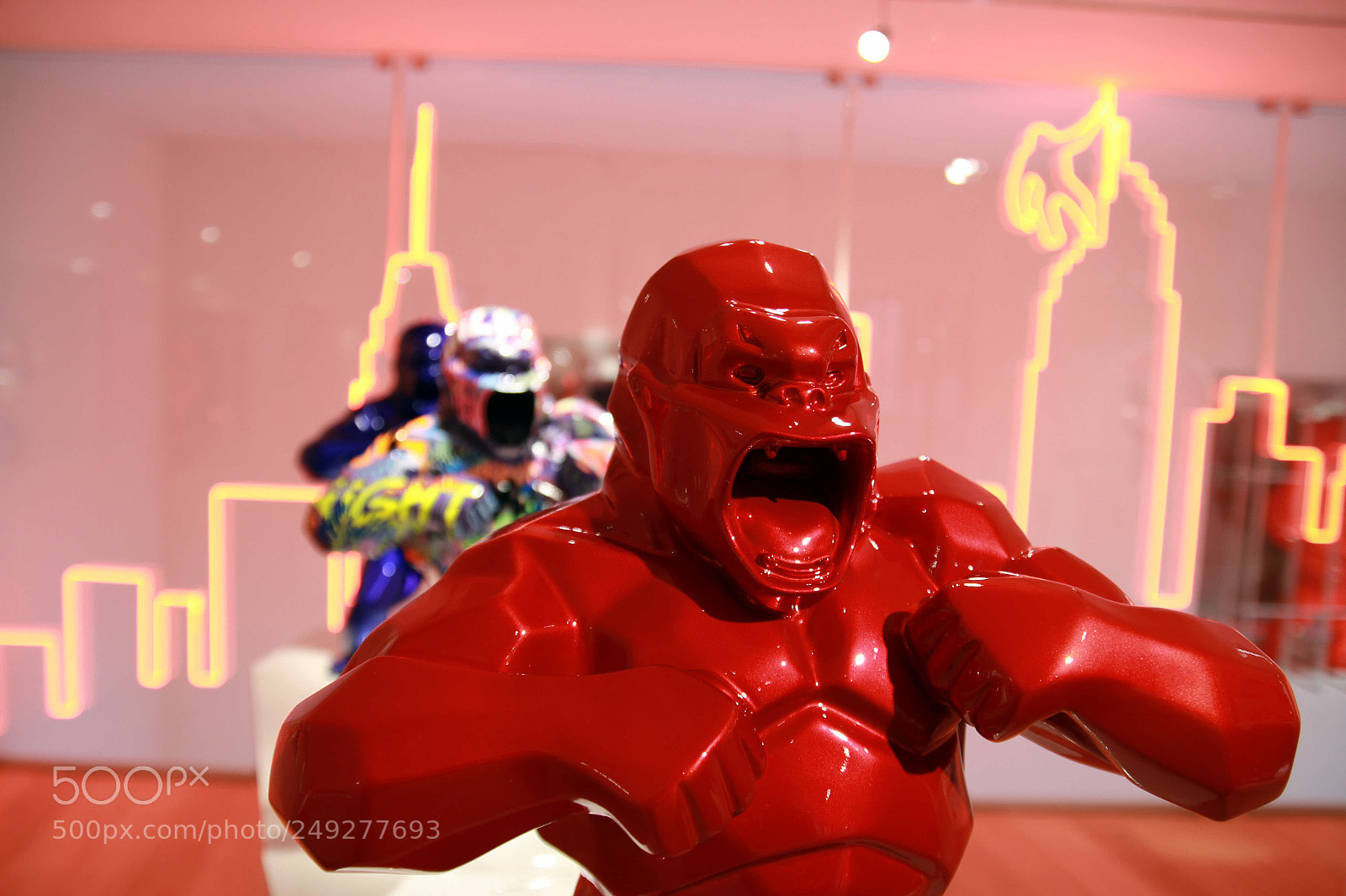 Canon EOS 7D sample photo. Orlinski - wild kongs photography