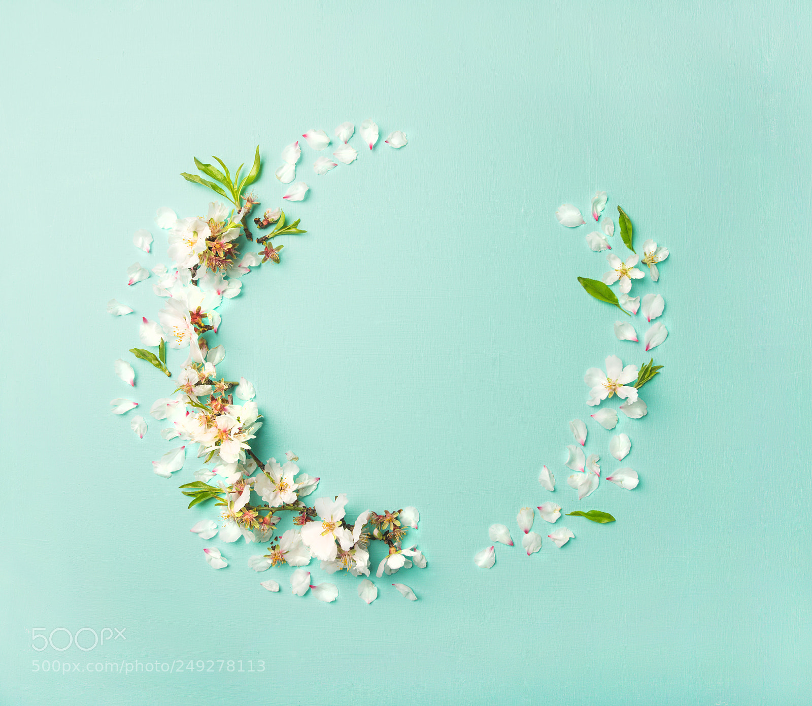 Nikon D610 sample photo. Flat-lay of white almond photography