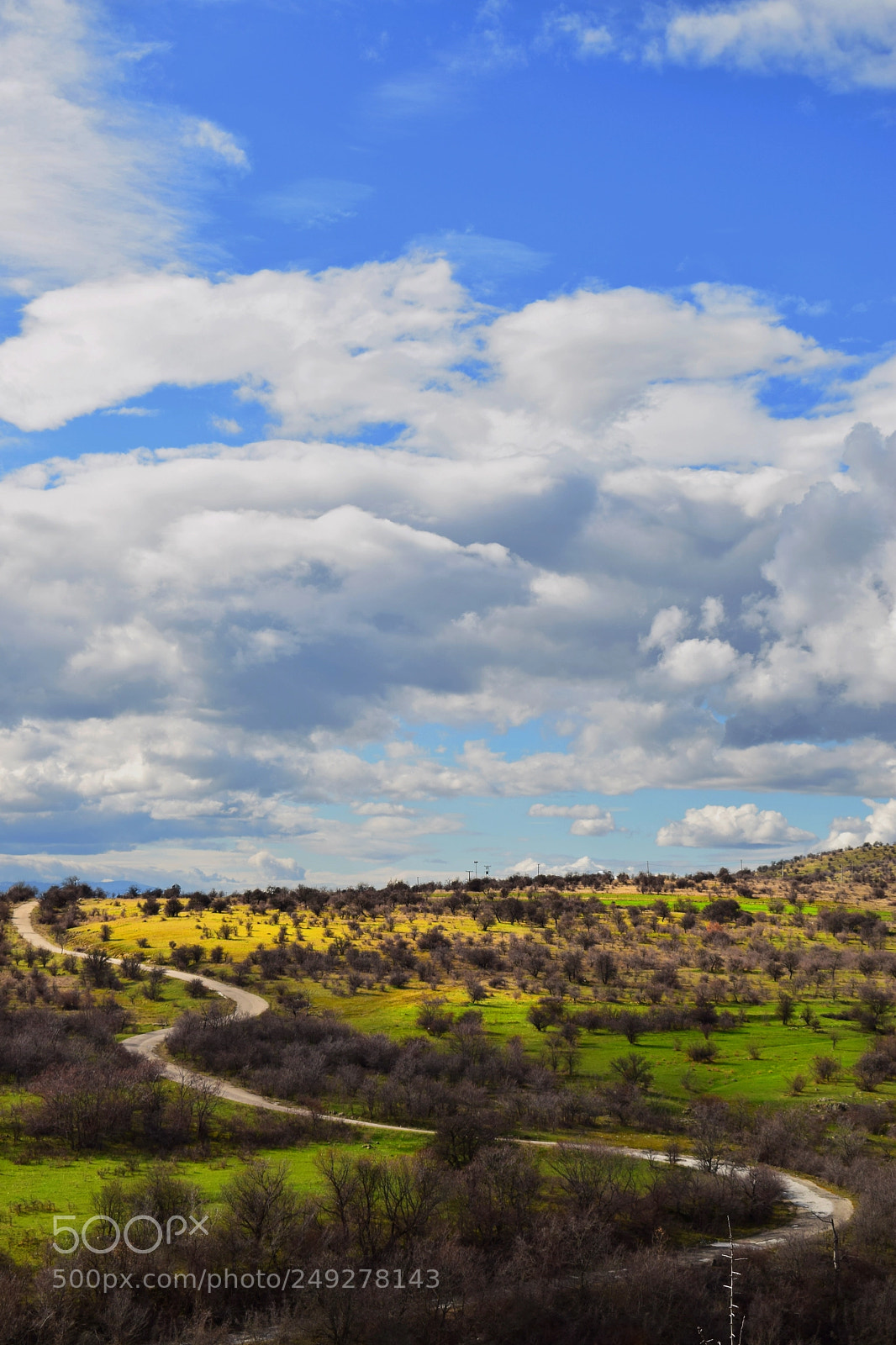 Nikon D5300 sample photo. Road to... photography