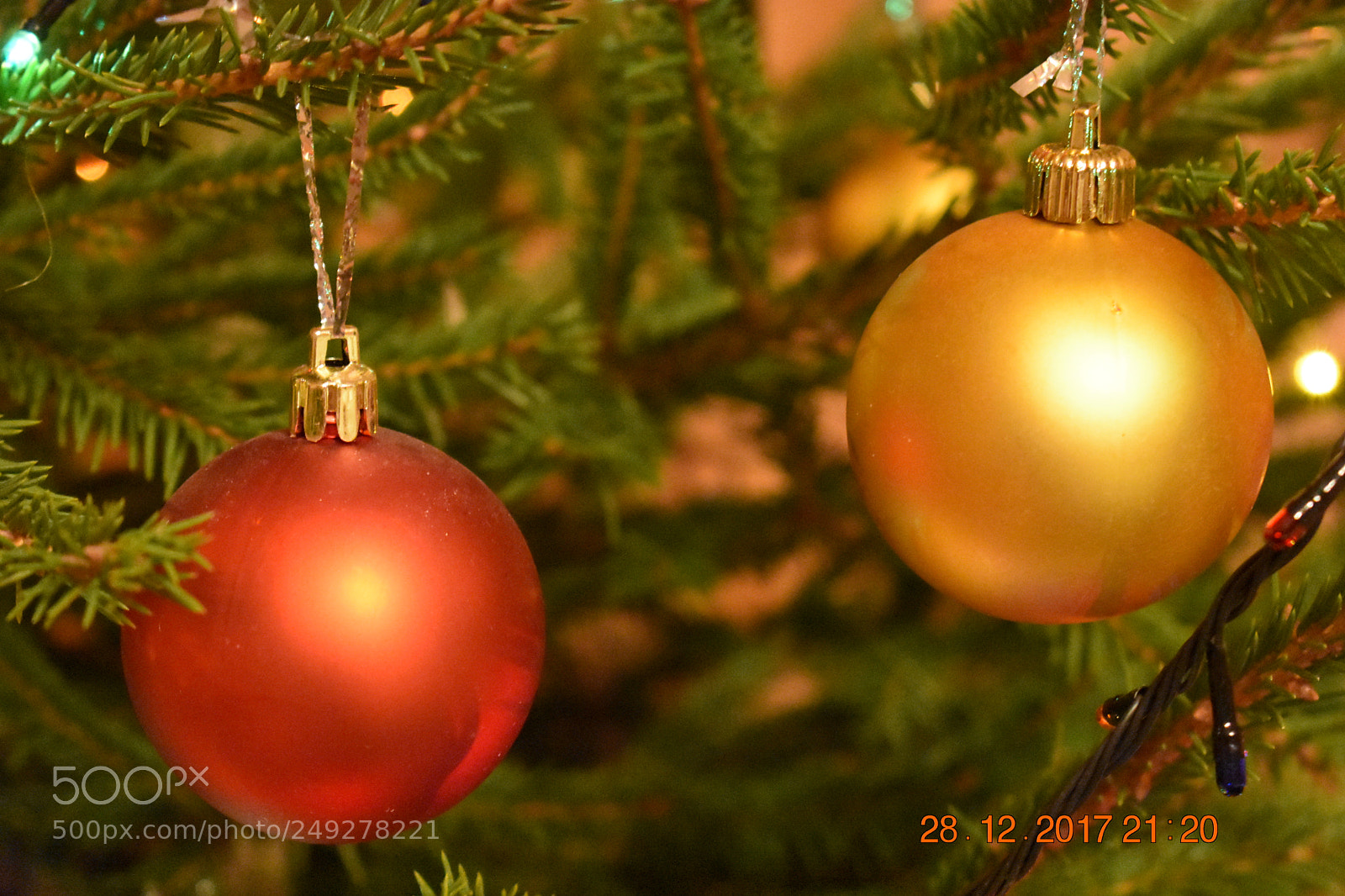 Nikon D3400 sample photo. Untitled photography