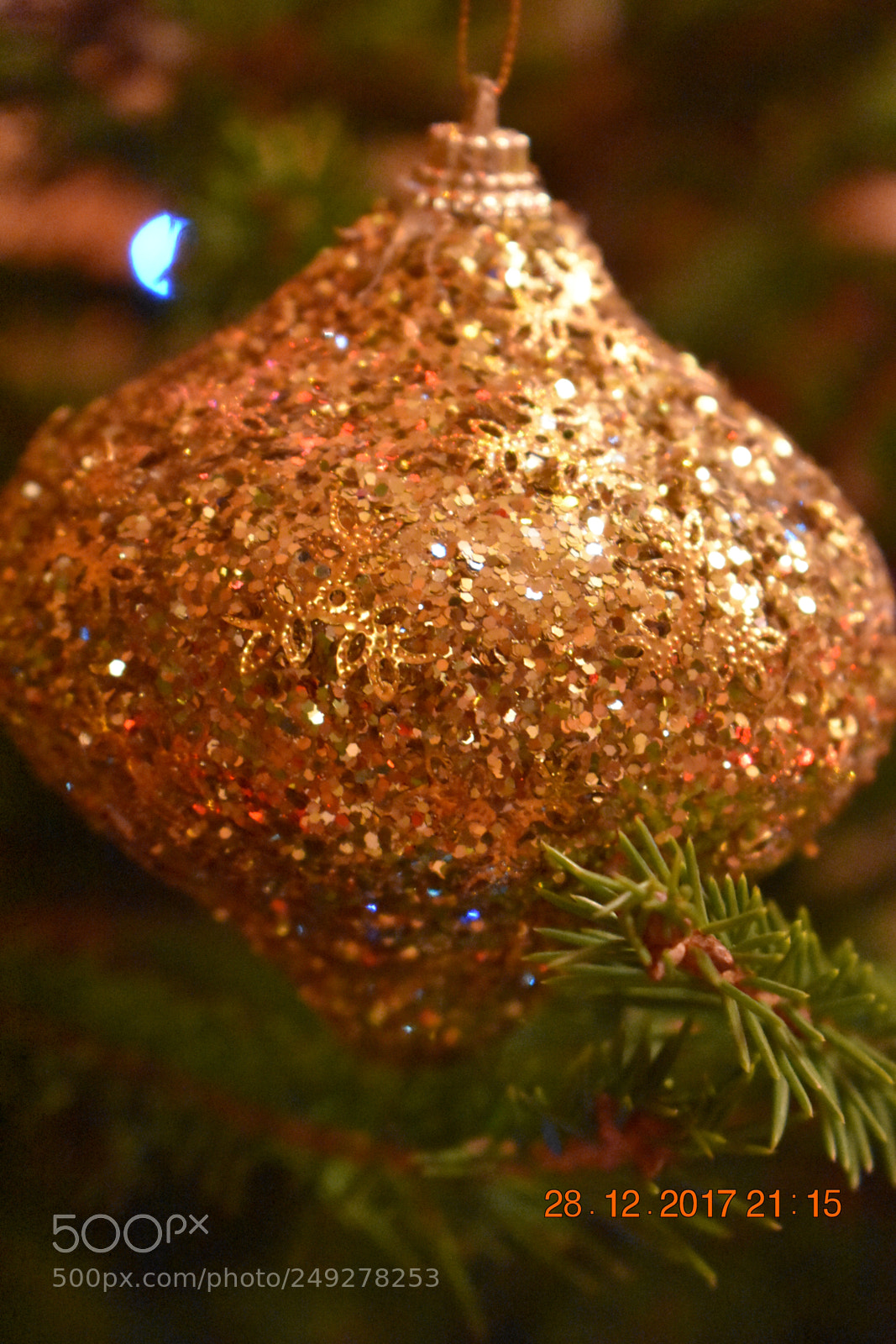 Nikon D3400 sample photo. Untitled photography